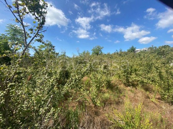 terreno agricolo in vendita a Terzigno