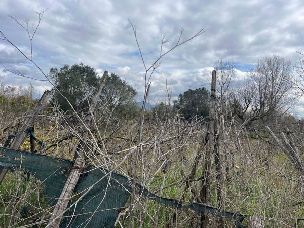 terreno agricolo in vendita a Terzigno