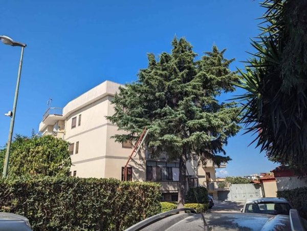 appartamento in vendita a Torre Annunziata