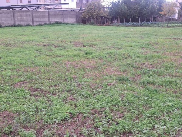 terreno agricolo in vendita a Torre Annunziata