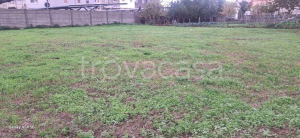 terreno agricolo in vendita a Torre Annunziata