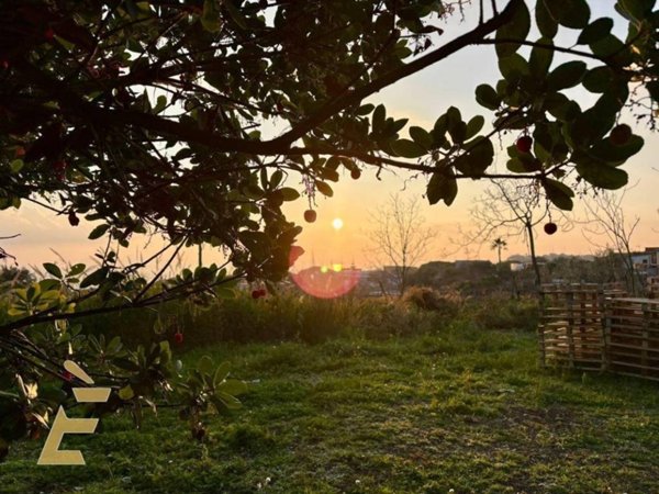 terreno agricolo in vendita a Torre del Greco