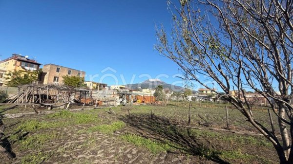 terreno agricolo in vendita a Torre del Greco in zona Vesuviana
