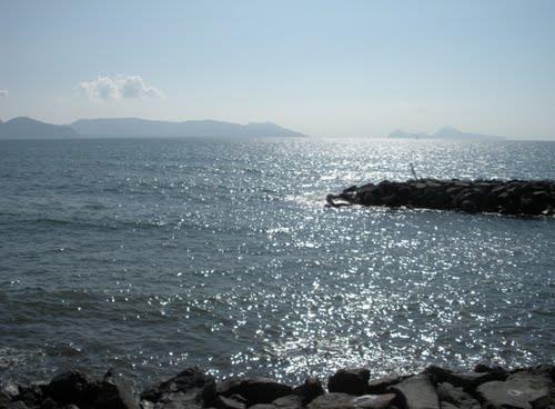 negozio in vendita a Torre del Greco