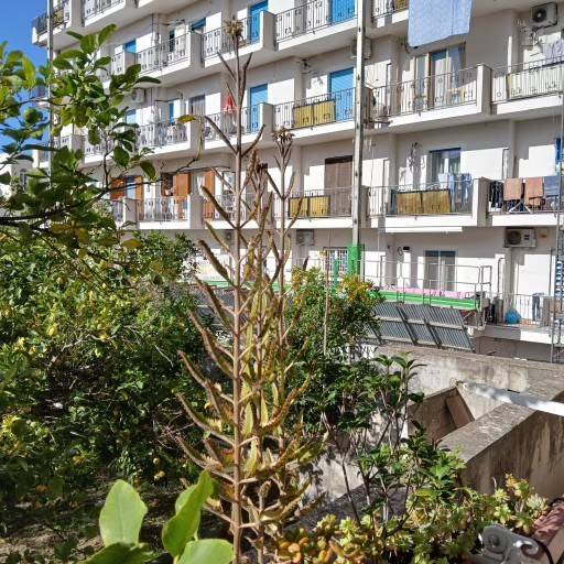 appartamento in vendita a Torre del Greco in zona Centro Città