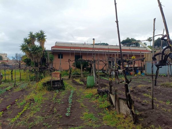 casa indipendente in vendita a Torre del Greco in zona Centro Città