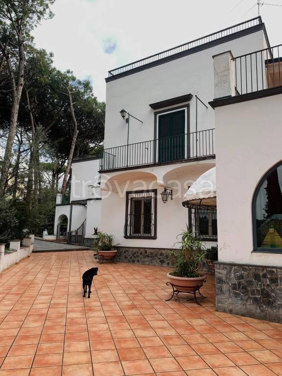 casa indipendente in vendita a Torre del Greco in zona Santa Maria la Bruna