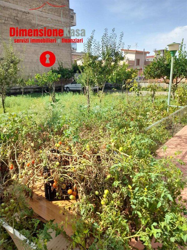 casa indipendente in vendita a Tufino