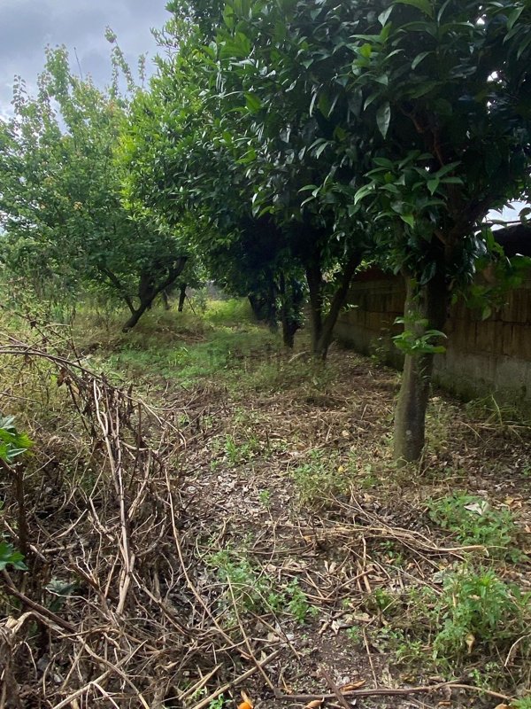 casa indipendente in vendita a Tufino