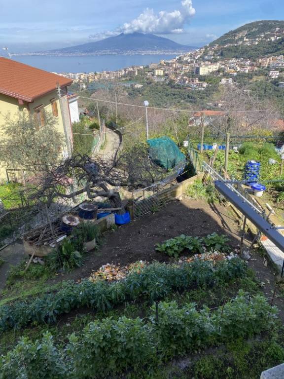 terreno agricolo in vendita a Vico Equense in zona Fornacelle