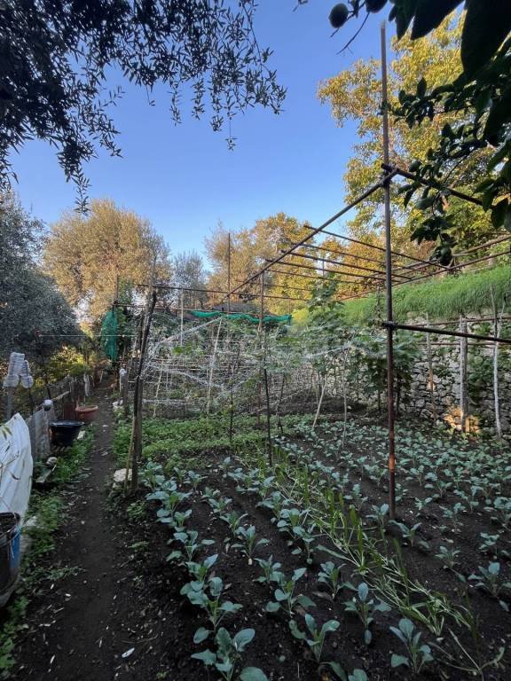 appartamento in vendita a Vico Equense