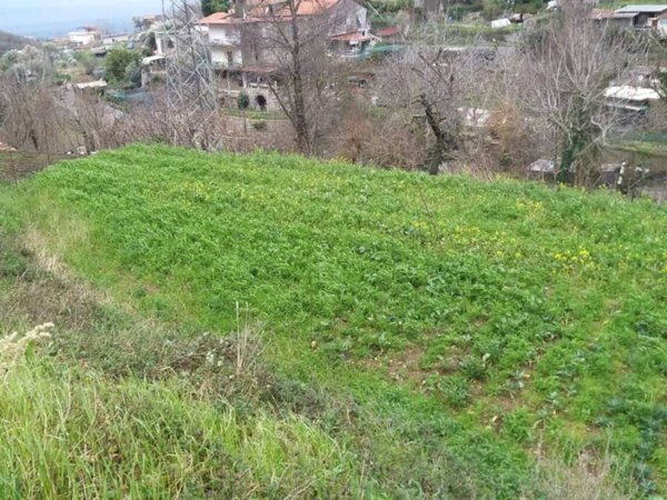 terreno agricolo in vendita a Vico Equense in zona Ticciano