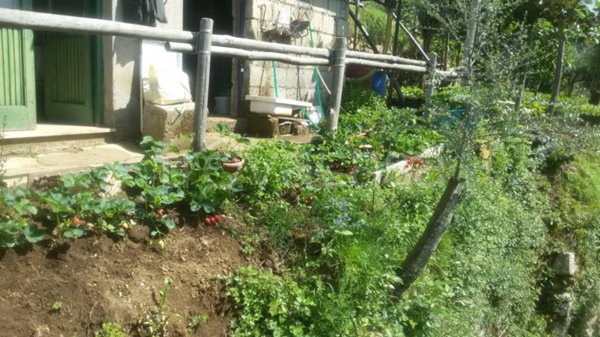 terreno agricolo in vendita a Vico Equense