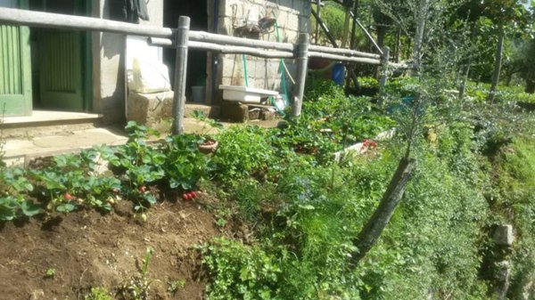 terreno agricolo in vendita a Vico Equense in zona Preazzano