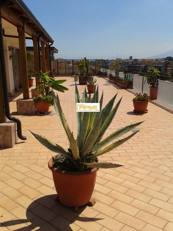 appartamento in vendita a Villaricca