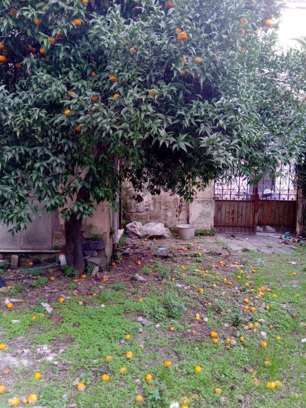 casa indipendente in vendita a Villaricca