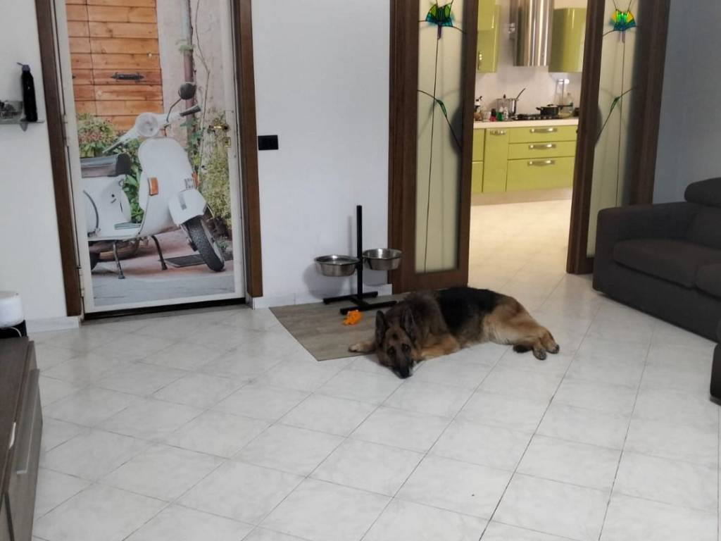 appartamento in vendita a Villaricca