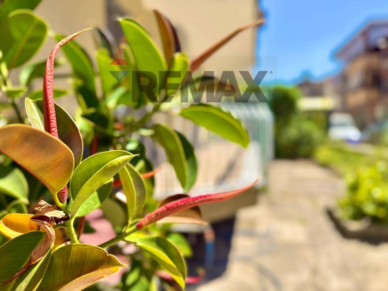 appartamento in vendita a Villaricca