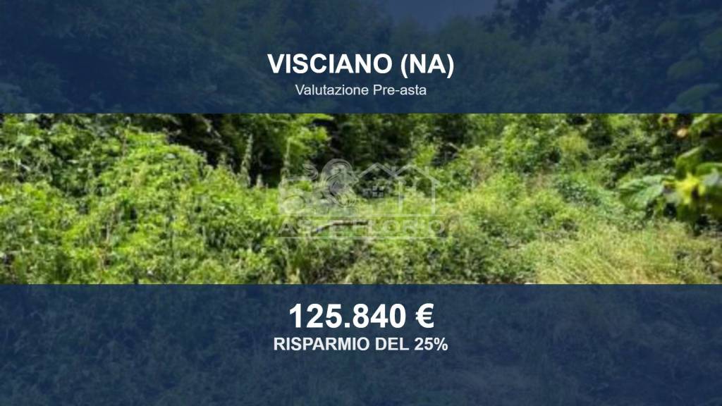 terreno agricolo in vendita a Visciano