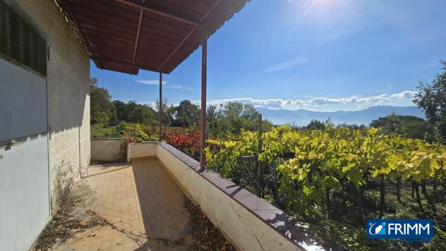 terreno agricolo in vendita a Trecase