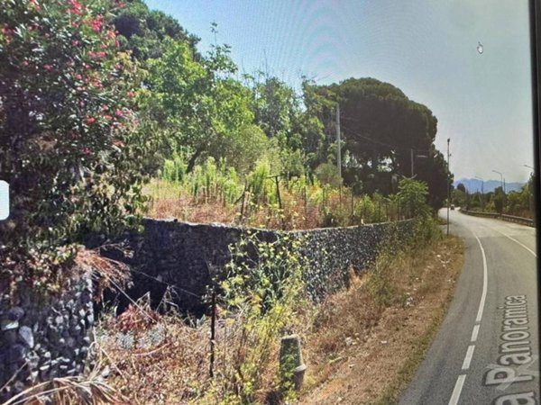 terreno agricolo in vendita a Trecase