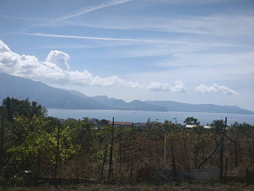 terreno agricolo in vendita a Trecase