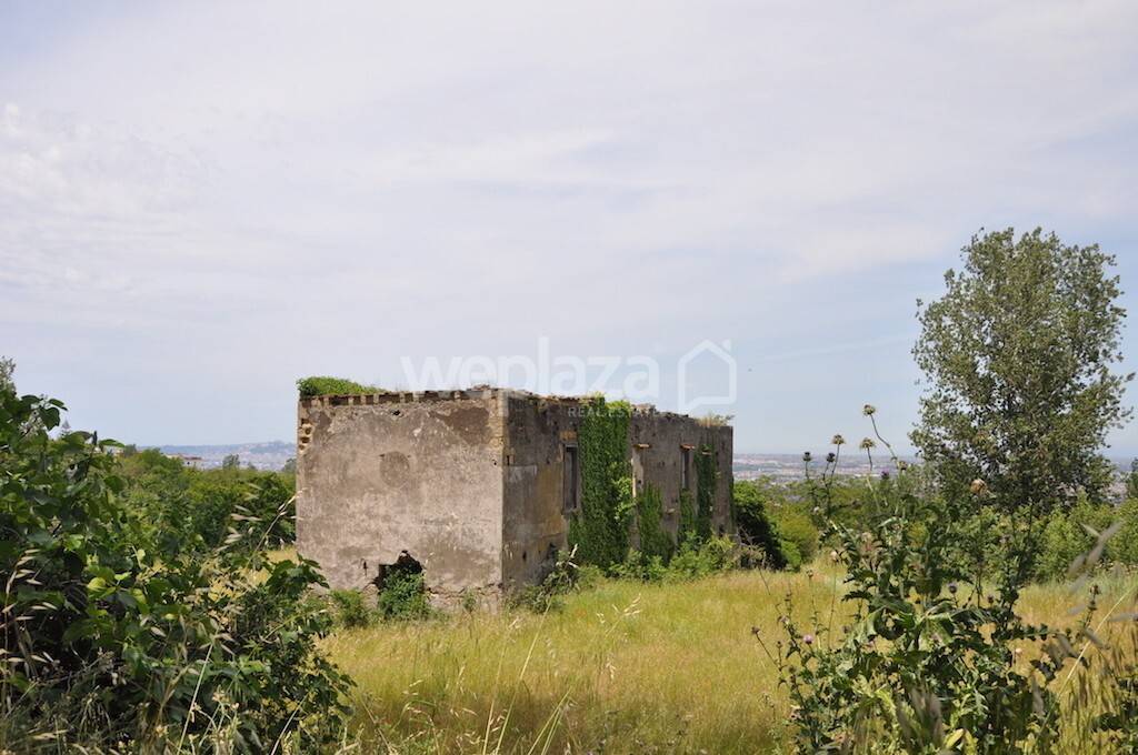 terreno agricolo in vendita a Massa di Somma