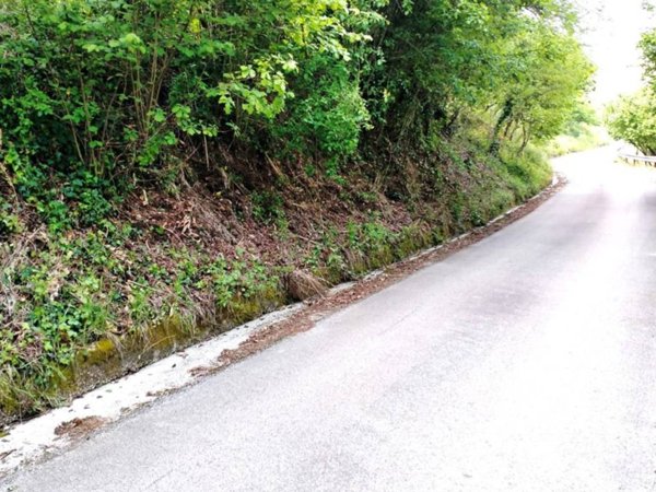 terreno agricolo in vendita ad Aiello del Sabato