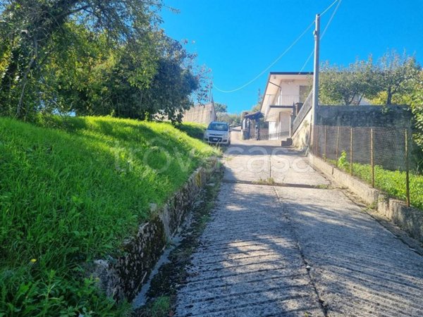 terreno agricolo in vendita ad Aiello del Sabato