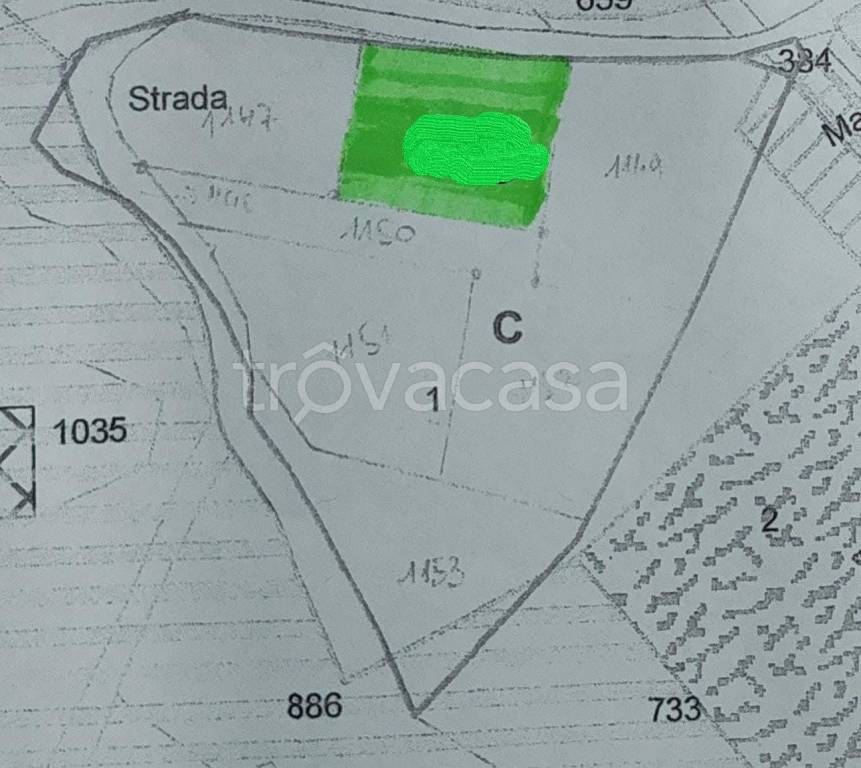 terreno agricolo in vendita ad Aiello del Sabato