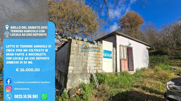 terreno agricolo in vendita ad Aiello del Sabato