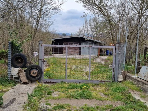 terreno agricolo in vendita ad Aiello del Sabato