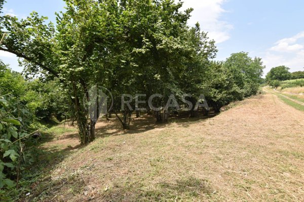 terreno edificabile in vendita ad Aiello del Sabato in zona Sabina