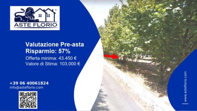 terreno agricolo in vendita ad Aiello del Sabato