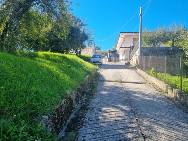 negozio in vendita ad Aiello del Sabato