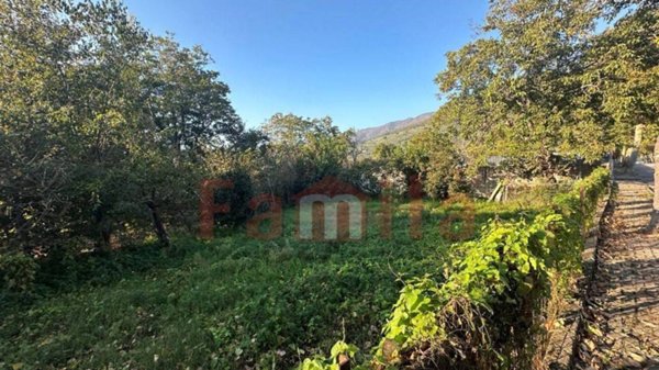 terreno agricolo in vendita ad Aiello del Sabato