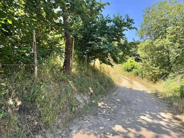 terreno agricolo in vendita ad Aiello del Sabato
