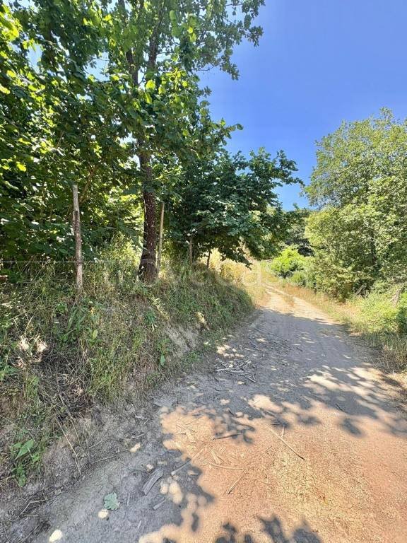 terreno agricolo in vendita ad Aiello del Sabato