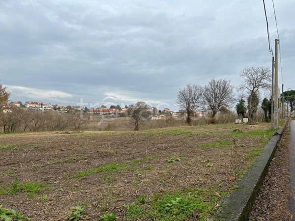 terreno agricolo in vendita ad Aiello del Sabato