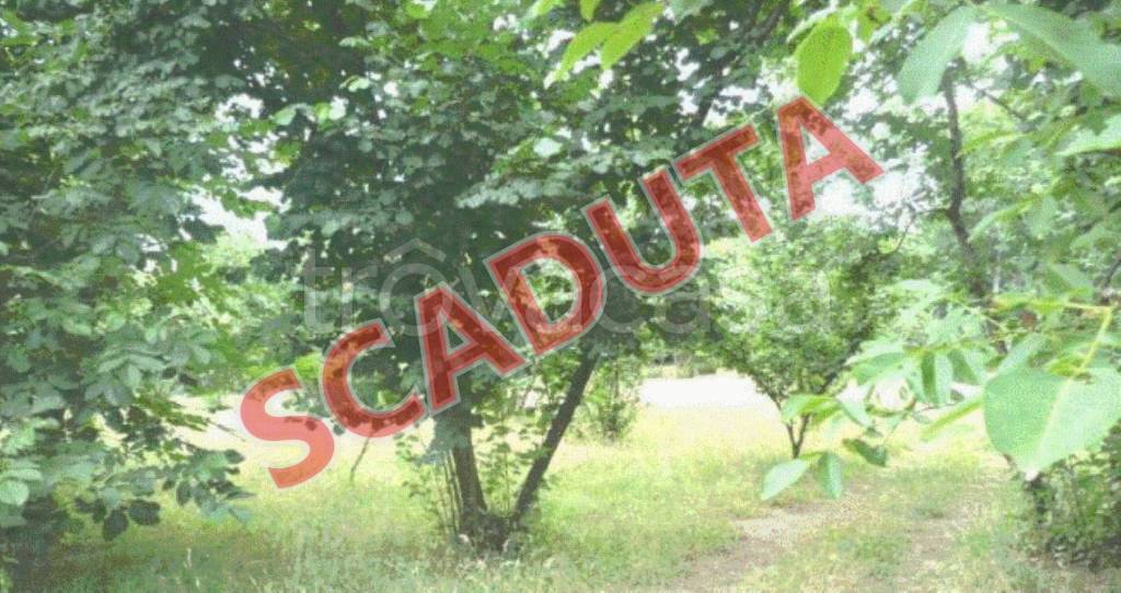 terreno agricolo in vendita ad Aiello del Sabato