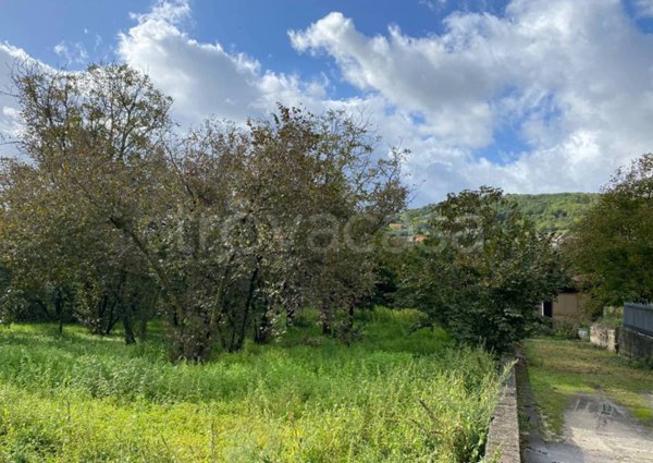 terreno agricolo in vendita ad Aiello del Sabato