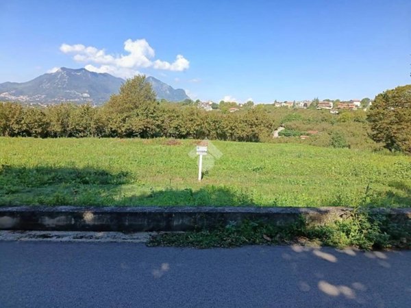 terreno agricolo in vendita ad Aiello del Sabato