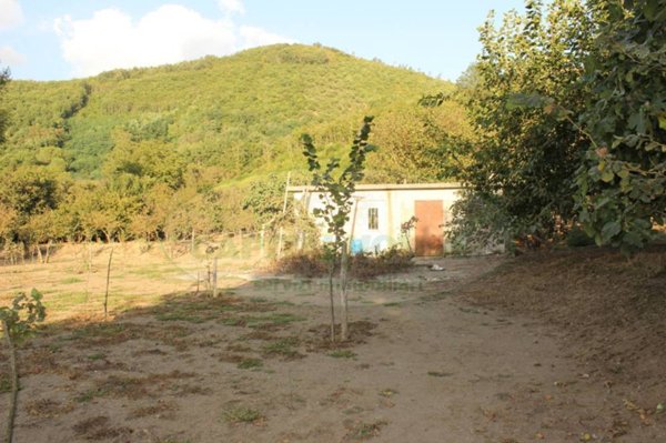 terreno agricolo in vendita ad Aiello del Sabato