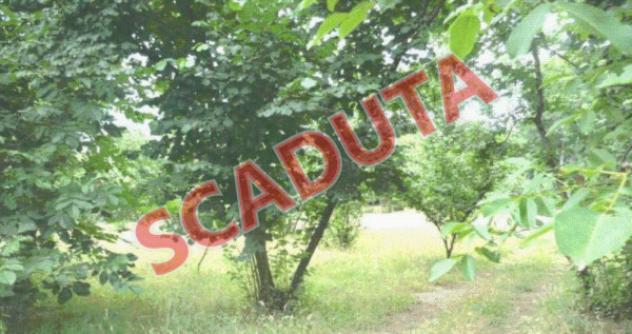 terreno agricolo in vendita ad Aiello del Sabato