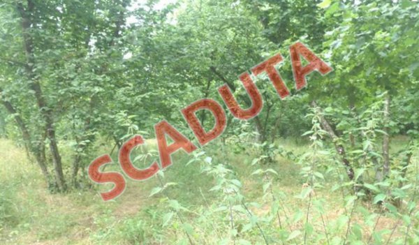 terreno agricolo in vendita ad Aiello del Sabato