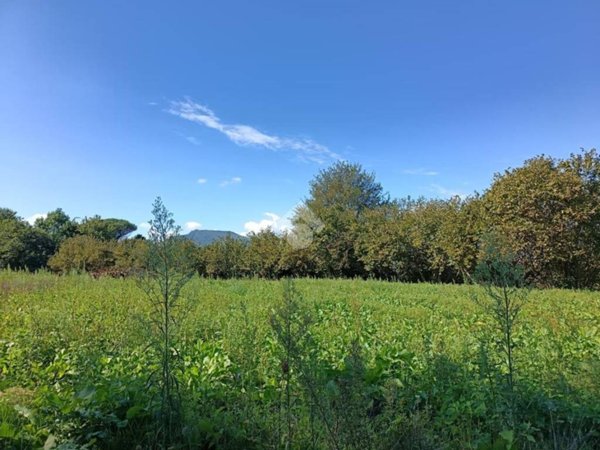 terreno agricolo in vendita ad Aiello del Sabato