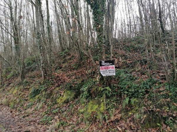terreno agricolo in vendita ad Aiello del Sabato