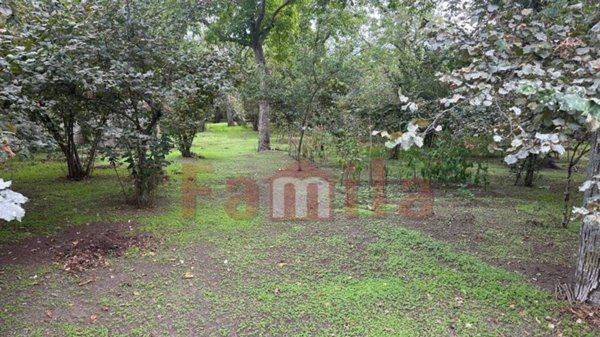 terreno edificabile in vendita ad Aiello del Sabato