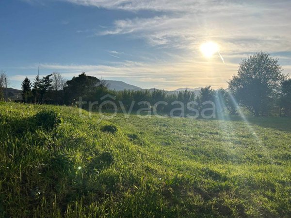 terreno agricolo in vendita ad Aiello del Sabato