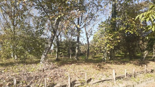 terreno agricolo in vendita ad Altavilla Irpina